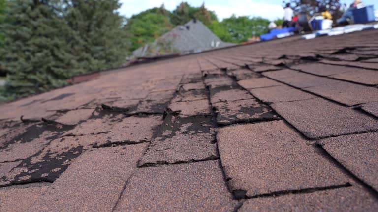 Best Asphalt Shingles Roofing  in Tallmadge, OH